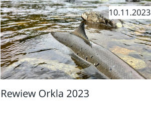 Rewiew Orkla 2023  10.11.2023