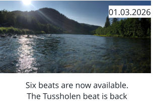 Six beats are now available. The Tussholen beat is back  01.03.2026